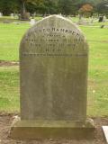 image of grave number 51591